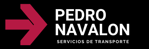 PEDRO MANCEBO NAVALON